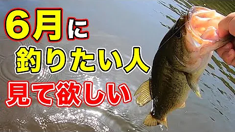 サイレントアサシン ブラックバス Mp3
