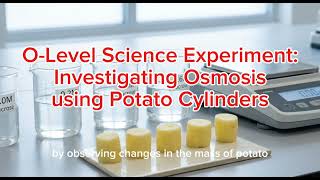 Investigating Osmosis using Potato Cylinders