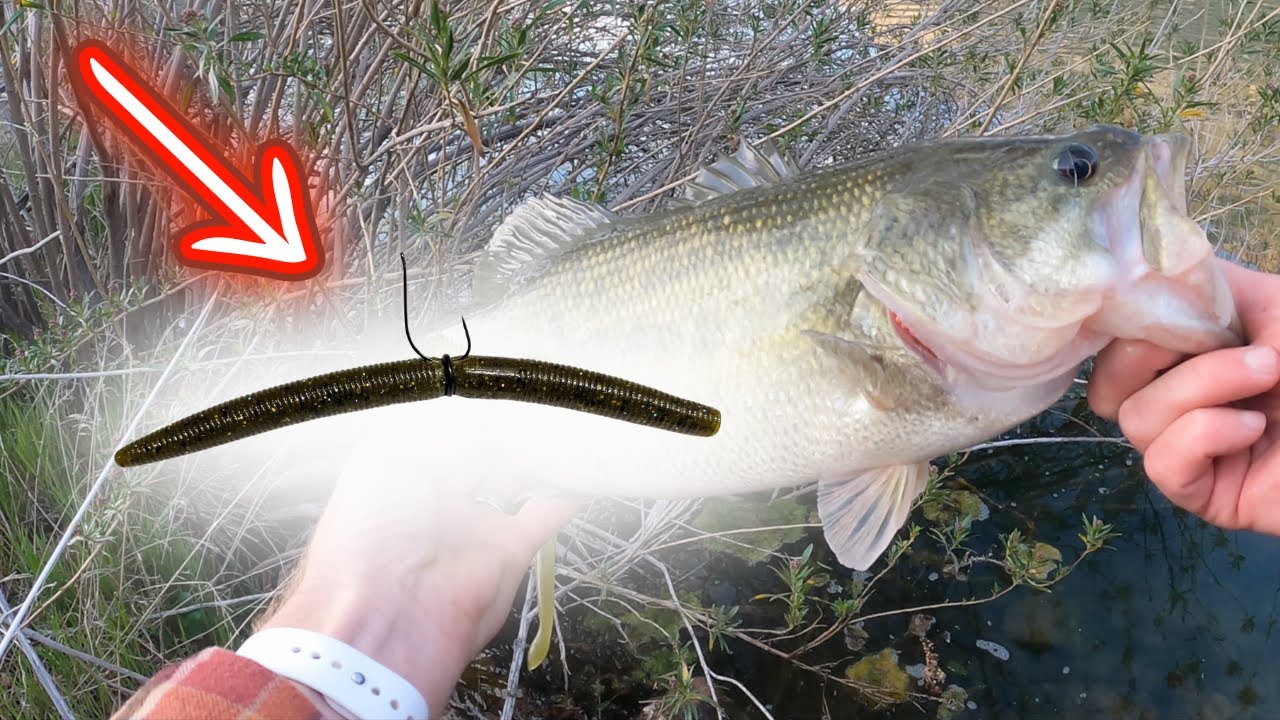 QUIT Bass Fishing Senkos WRONG (5 Mistakes Costing You Bites)