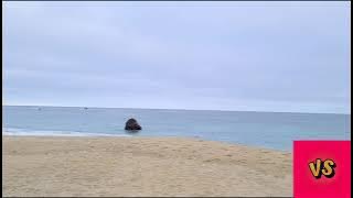 Bixar Camping California #MorningView #Garrapaata #Beach #California #MorningBeachAfterNightStay