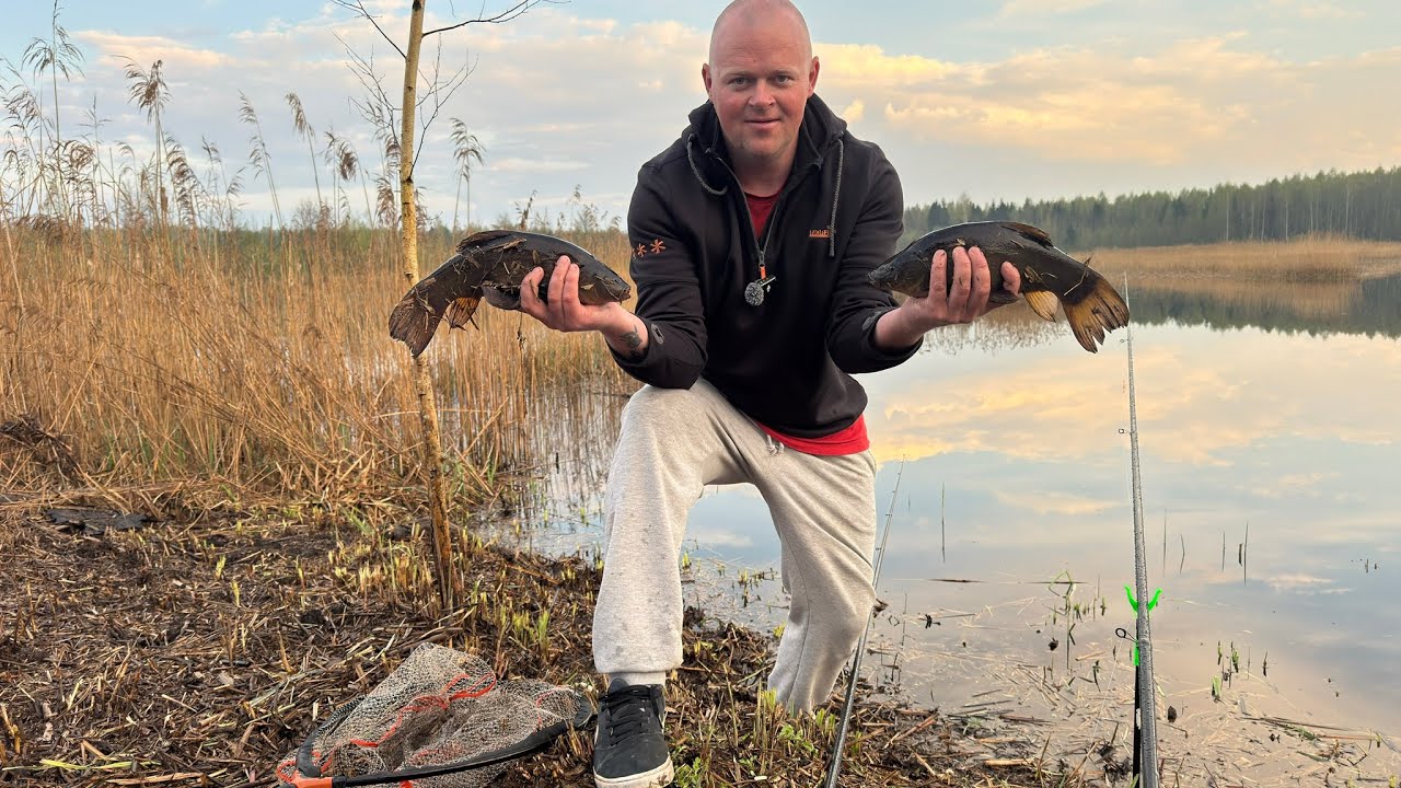 Līņu Cope – Vai Izdevās Tikt Pie Normas?