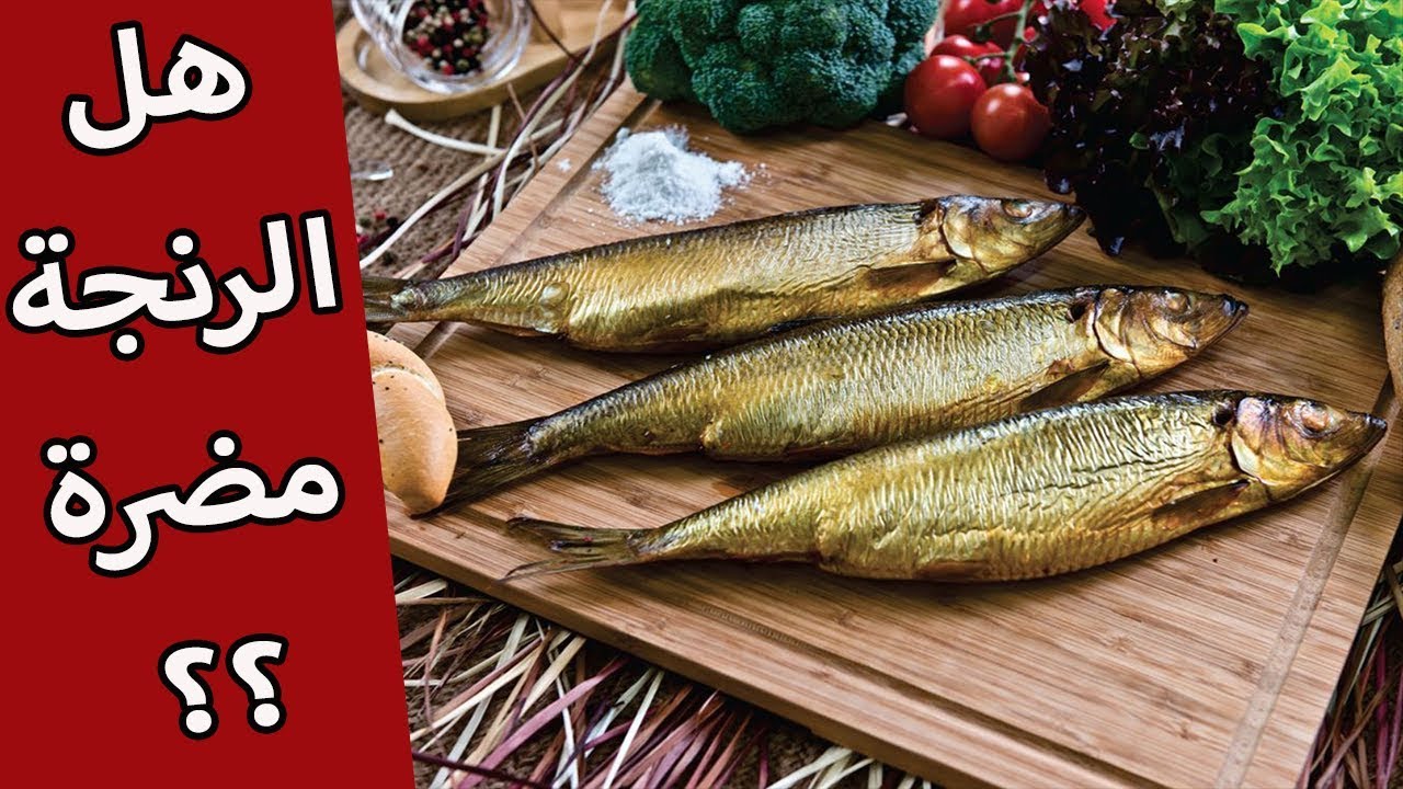 هل الرنجة مضرة ؟؟ 🐟🐟