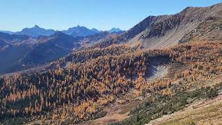 Grasshopper Pass, WA PCT - Oct 2023