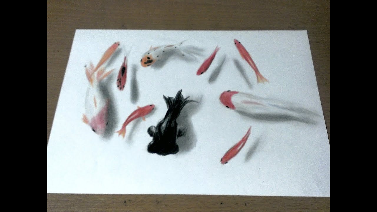 色鉛筆で紙の上で金魚が泳ぐ描き方 How To Draw A Goldfish Youtube