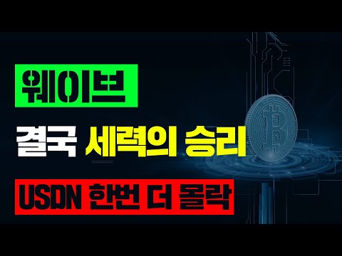 웨이브결국 세력의 승리 USDN 한번 더 몰락 웨이브 웨이브코인 