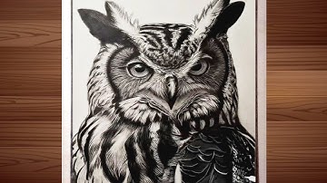 How To Draw a Hyper Realistic Owl in a faster way " Easy Step by Step Guide for Beginners "