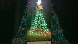 🎅CHRISTMAS Lights Drive-Thru | Christmas lights 2025 | #shorts #christmaslights #christmas2025