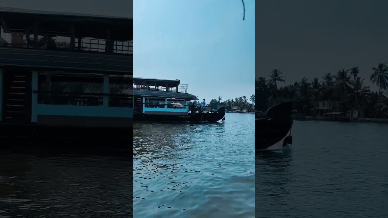 Alappy -The Floating 🌎🌍