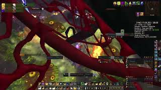 Mythic 14 Darkheart Thicket - Holy Paladin POV