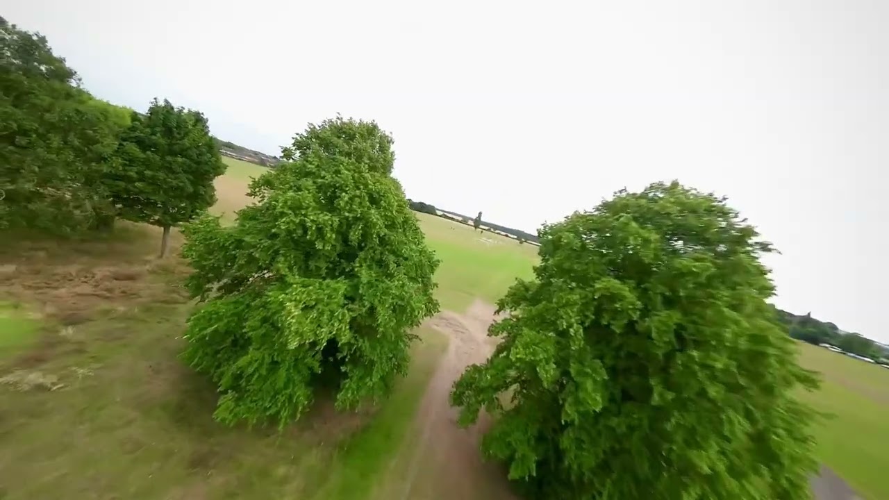 Tree flow with the Vx3