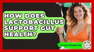How Does Lactobacillus Support Gut Health? - The Health Supplement Hub