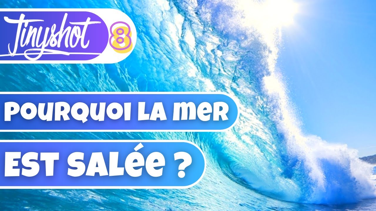 POURQUOI LA MER EST SALÉE ? - ⏱ Tinyshot #8 - YouTube