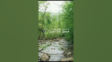 تلاوة هادئة للشيخ علي جابر