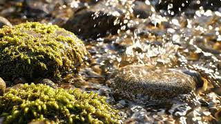 Crystal Clear Stream Over Stones ASMR 4K - Trickling Water Sounds for Sleep