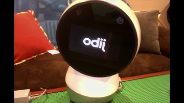 DJ Gee - Jibo Robot Setup Process