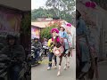 The Dancing Horse