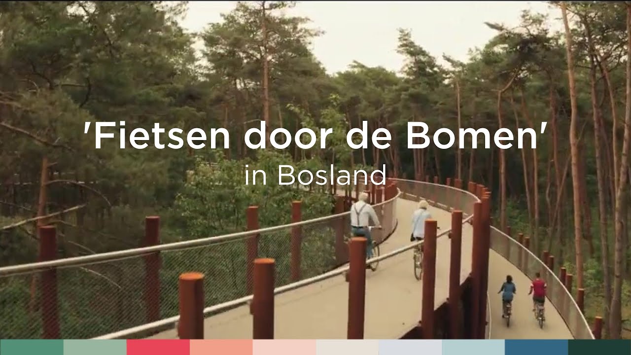 Fietsen door de Bomen' in Bosland | Visit Limburg - YouTube