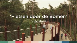 'Fietsen door de Bomen' in Nationaal Park Bosland | Visit Limburg