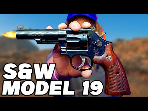 Unboxing & Reviewing My FIRST Revolver ! The Smith & Wesson Model 19