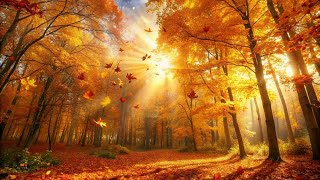 ☔   Осень  Времена года  Антонио Вивальди. Autumn  The Four Seasons  Antonio Vivaldi.