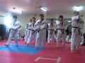 Taekwondo Korea Tigers - Peru