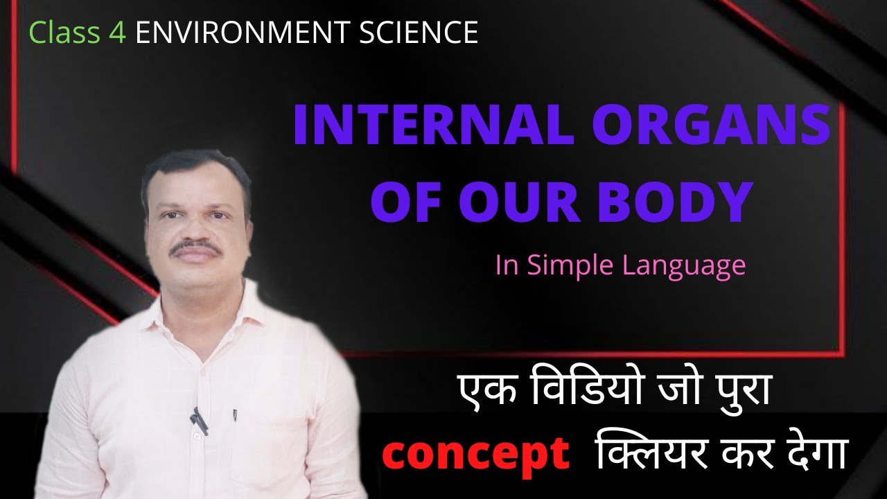 || Internal Organs of Our Body || cbse class 4 evs || 