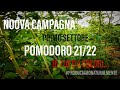Vi presento il primo settore di Pomodoro della nuova campagna 21/22