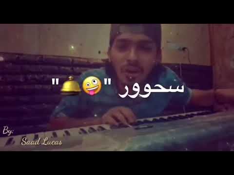شدها بعد شيبي 