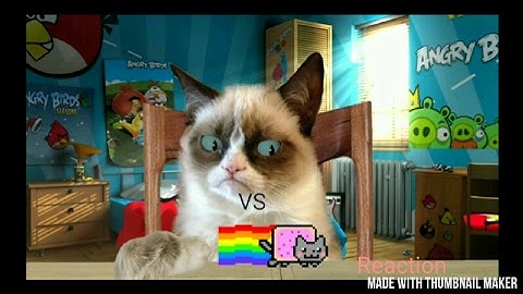 Grumpy Cat VS NYAN CAT REACTION