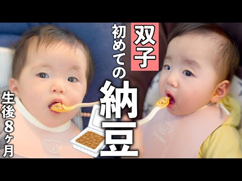 双子の赤ちゃん、初めての納豆にチャレンジ!予想外の結果に…【生後8ヶ月】