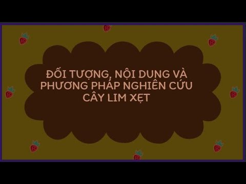 Video Mini Crypto | ĐỐI TƯỢNG, NỘI DUNG VÀ PHƯƠNG PHÁP... - youtube