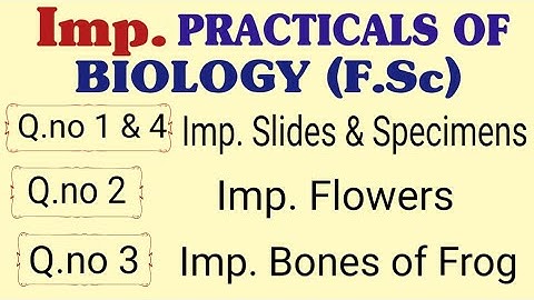 Important Practicals Of Biology (F.Sc) || Important Questions Of Biology Practical (Class 11 & 12)