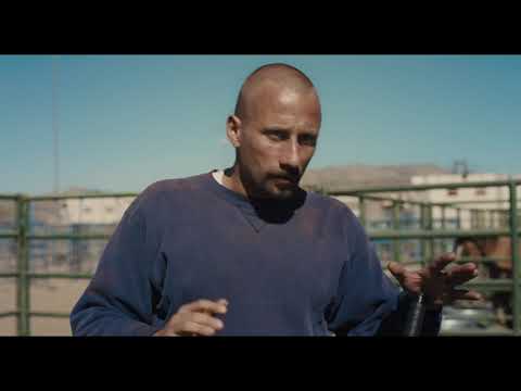 THE MUSTANG - A Redemption Story - Now In Select Theaters - THE MUSTANG - A Redemption Story - Now In Select Theaters
