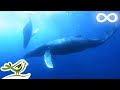 Deep Underwater • Relaxing Sleep Music in an Underwater Paradise