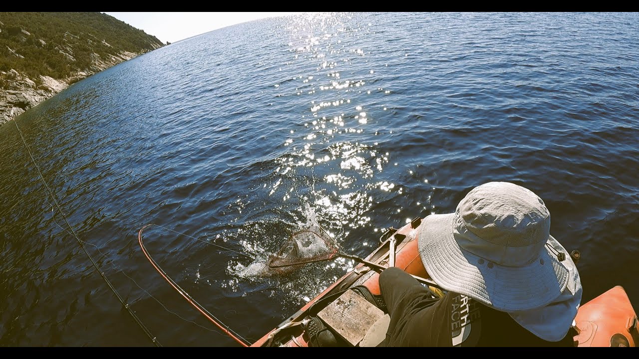 Ψάρεμα για σκαθάρια...με μαγιάτικο δώρο! 15 Oct. 23 // Fishing for cantharus...with bonus amberjack!