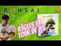 Bonsai  rgles et tour de jeu