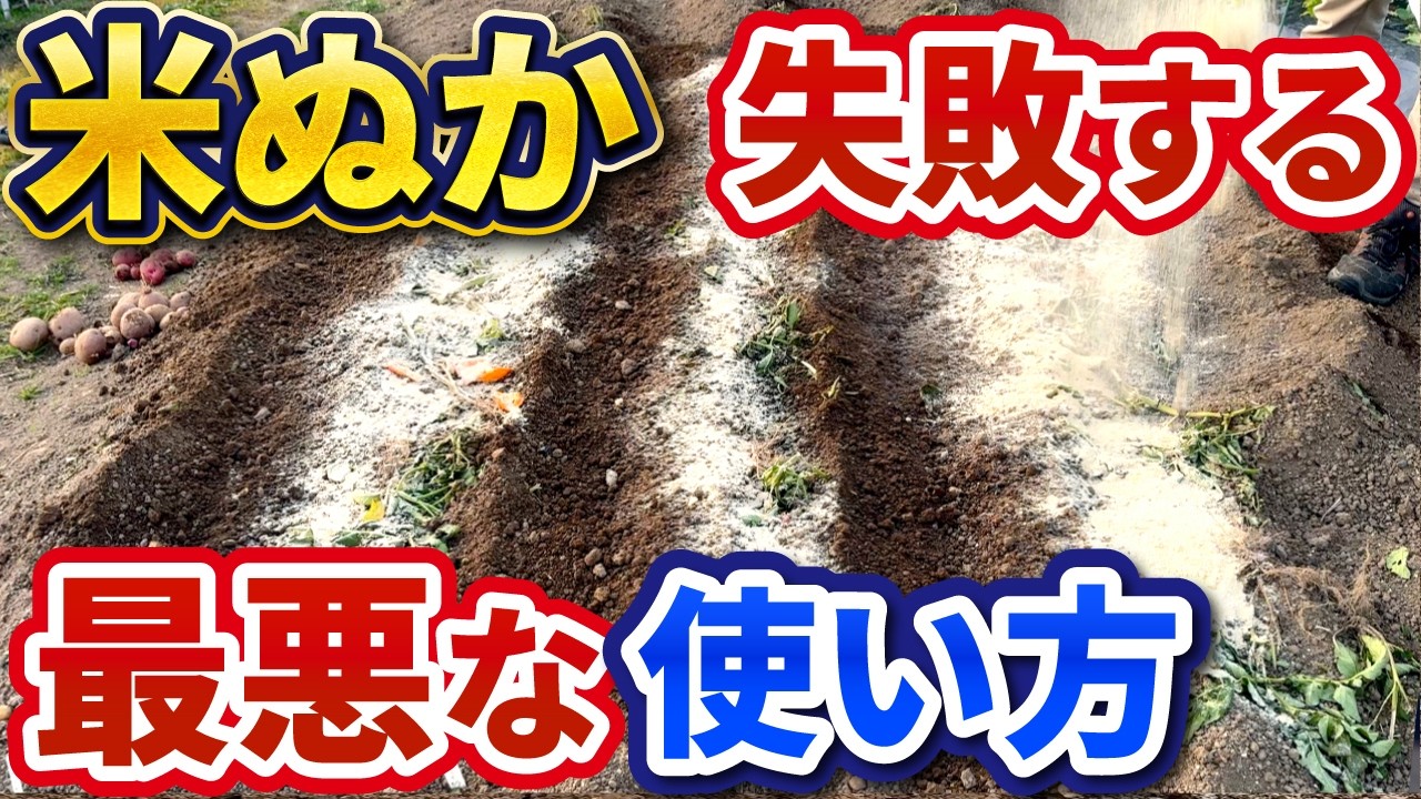 米ぬかの落とし穴！初心者が知らないと後悔する3つのリスクと正しい使い方