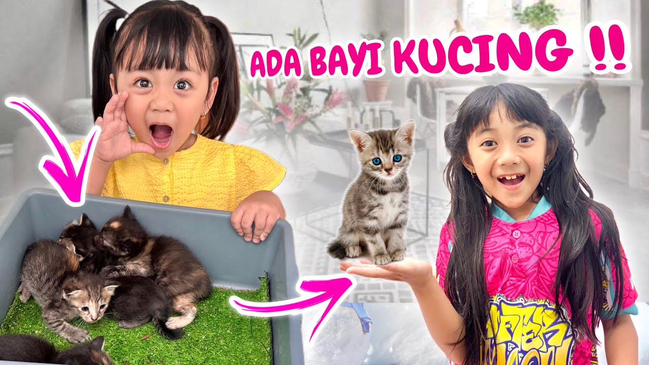 ADA BAYI KUCING DI RUMAH SAMANTHA DAN ADIK AUDREY SEMUA KAGET MELAHIRKAN DI BAWAH SOFA KUCING LUCU