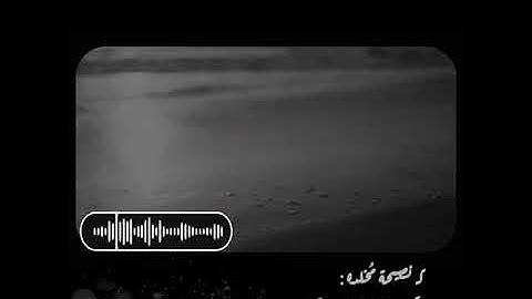مقطع قرآن كريم | تلاوة هادئة | ارح سمعك ❤️🎧 حالات واتس دينية قصيرة. 🤍|ستوريات قرآن 🦋💛|مقاطع إسلامية💚