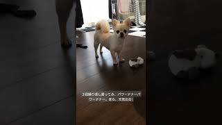 2021622撮影2024218アップ