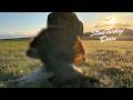 I Hunted a Turkey in Real Life!