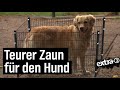 Realer Irrsinn: Hamburger Hundezaun | extra 3 | NDR
