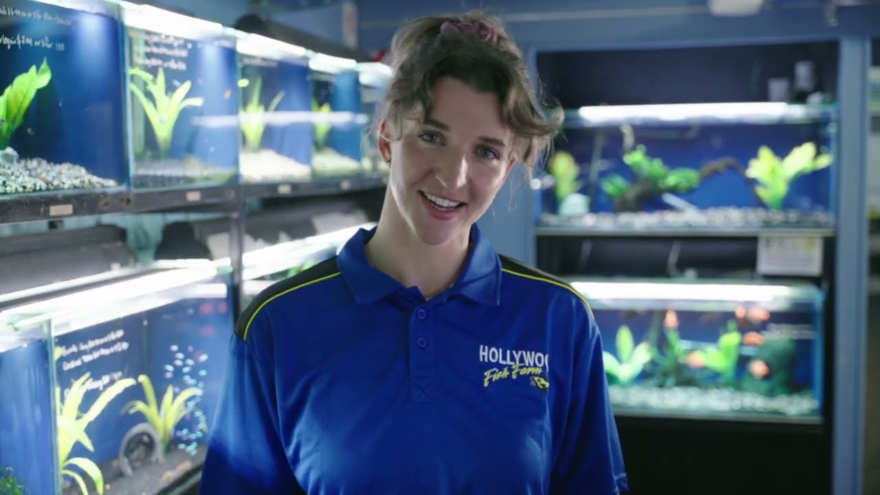 Hollywood Fish Farm Mt Roskill