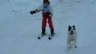 Beto-ski