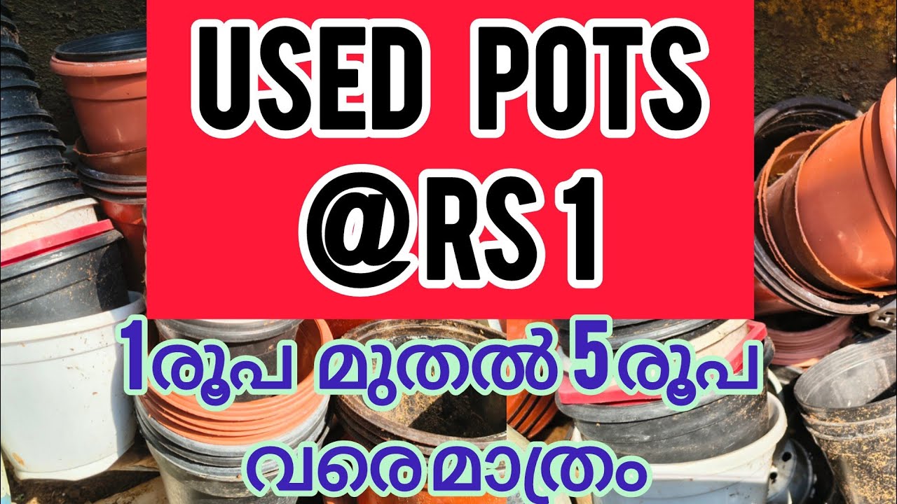 1 രൂപ മുതൽ 5 രൂപ വരെ വില വരുന്ന ചട്ടികൾ. Used pots for sale. 