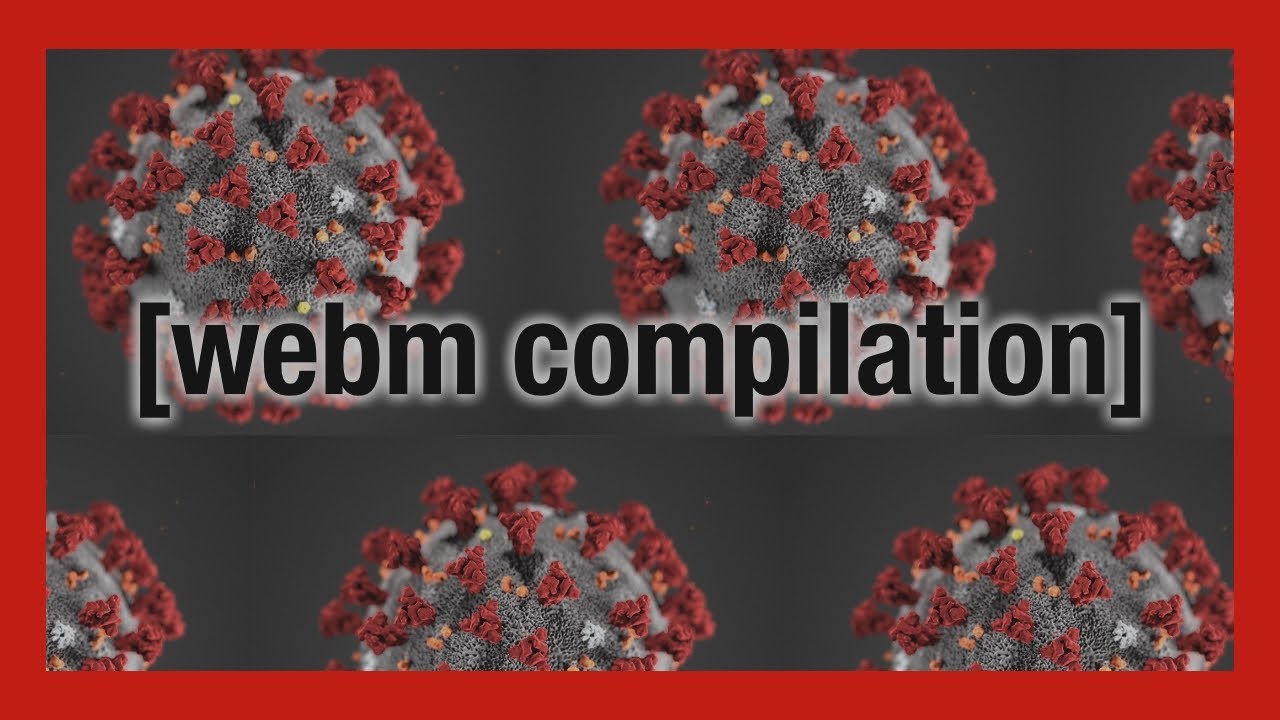 4chan webm compilation