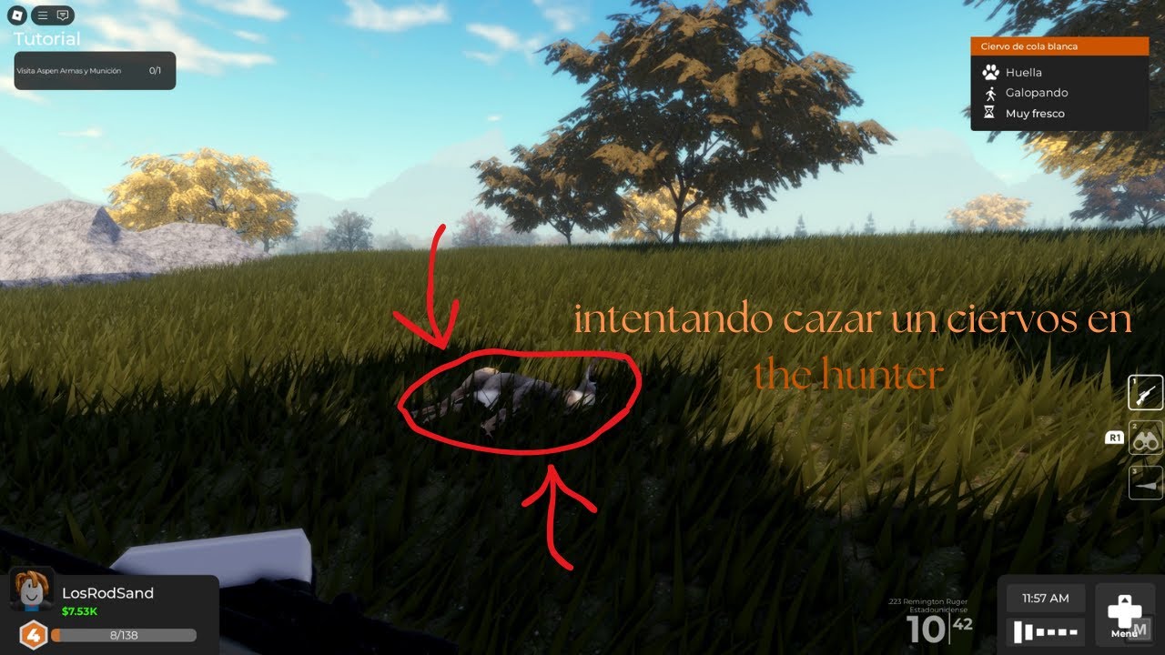 INTENTANDO CAZAR UNOS CIERVOS EN THE HUNTER 