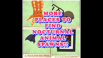 MORE NOCTURNAL ANIMAL SPAWN AREAS! | Animal Jam Play Wild | QueenBlueEyes