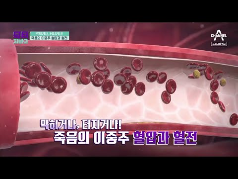[예고] 죽음의 이중주 혈압과 혈전, 막히거나 터지거나! | 채널A 닥터지바고 336회