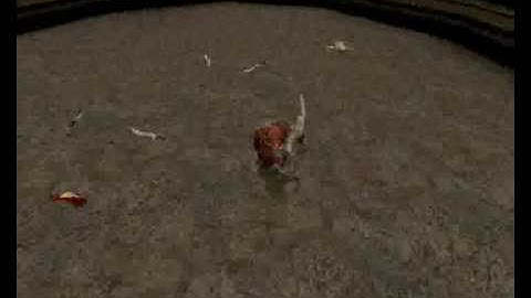 [RUNE HOV] Hudson & Rotarena